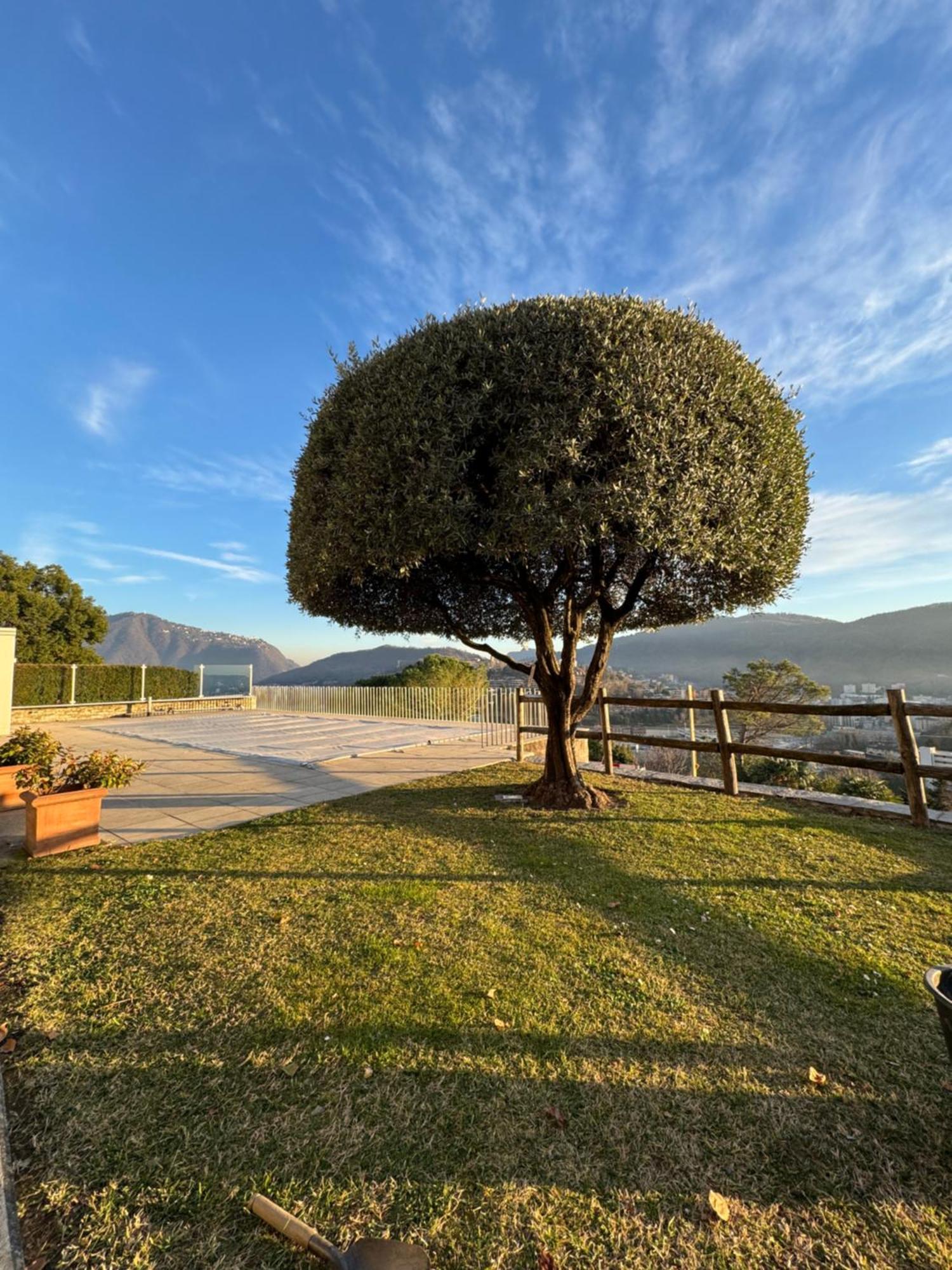 Veralto - Modern Suite With Como Lake View Vacallo Kültér fotó